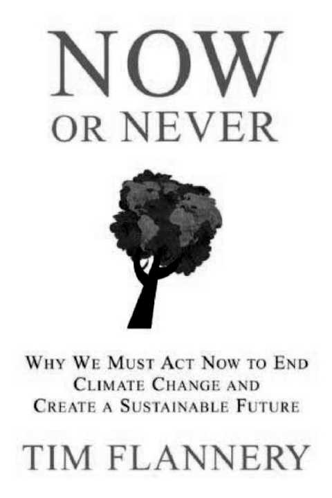 Now or Never Why We Must Act Now to End Climate Change and Create a Sustainable Future - image 1