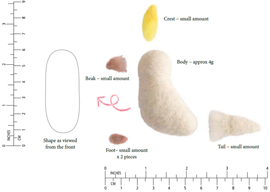 Create the body section Create the core of the body Use about of the - photo 29