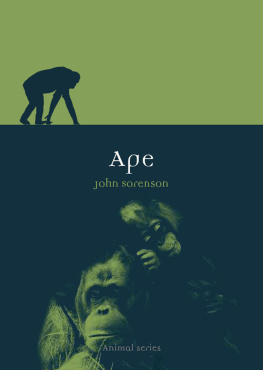 Sorenson - Ape