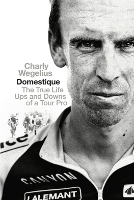 Southam Tom - Domestique: the true life ups and downs of a tour cyclist