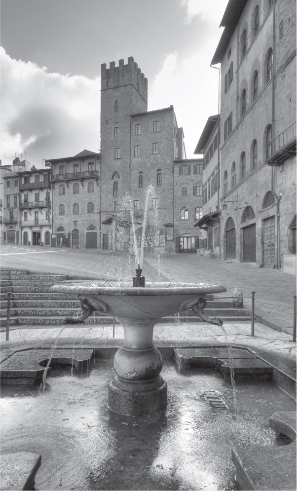 Piazza Grande Arezzo INTRODUCTION I may take up detective work one of - photo 4