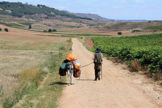 Rich medieval pilgrims travelled on horseback nowadays only a handful use - photo 10