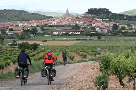 Navarrete in the Rioja wine region has 11 bodegas wineries Stage 5 When a - photo 9