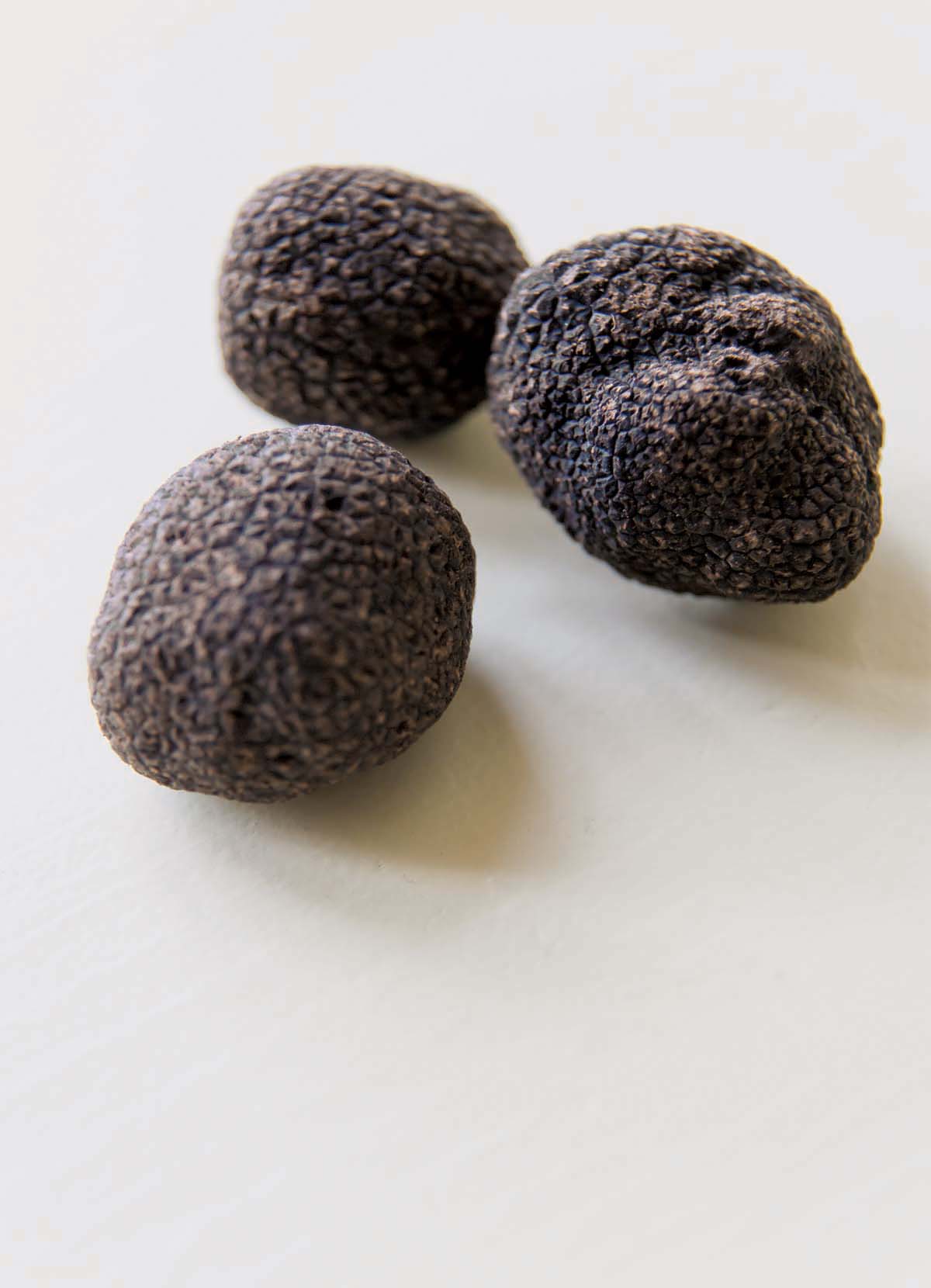 2000 BC The first known text about the truffle is recorded by the - photo 1