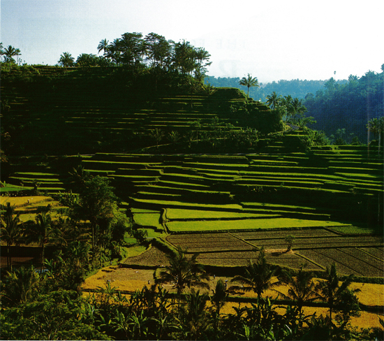 Mount Agung Balis most sacred mountain dominates the landscape of eastern - photo 5