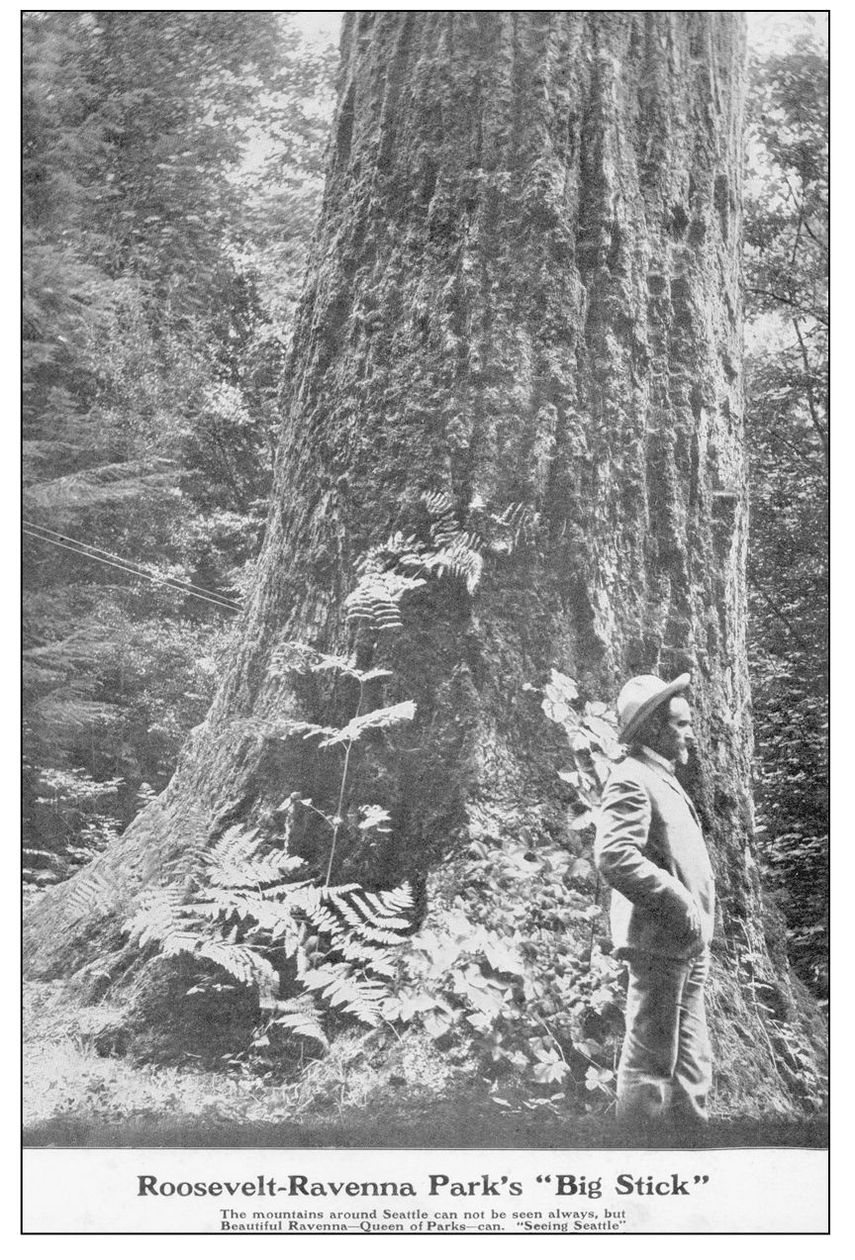 This poster of Beck shows him standing by Roosevelt-Ravenna Parks Big Stick - photo 4