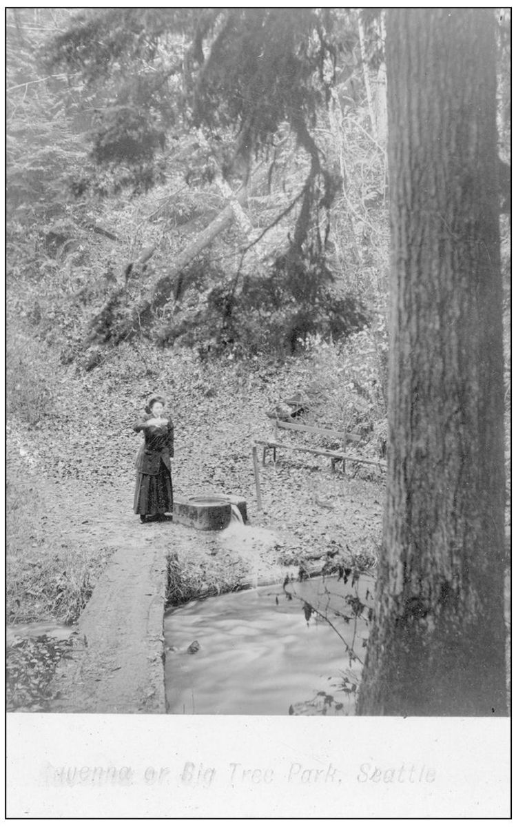 A woman stands beside and appears to be partaking of Ravenna Parks mineral - photo 5