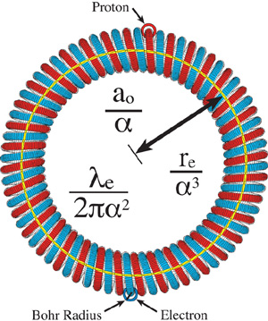 The basic structure of a circlon-shaped subatomic particle in Jims theory of - photo 1