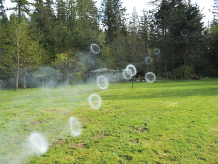 Smoke rings sail across the Carters front yard Linda Carter Diagram - photo 13