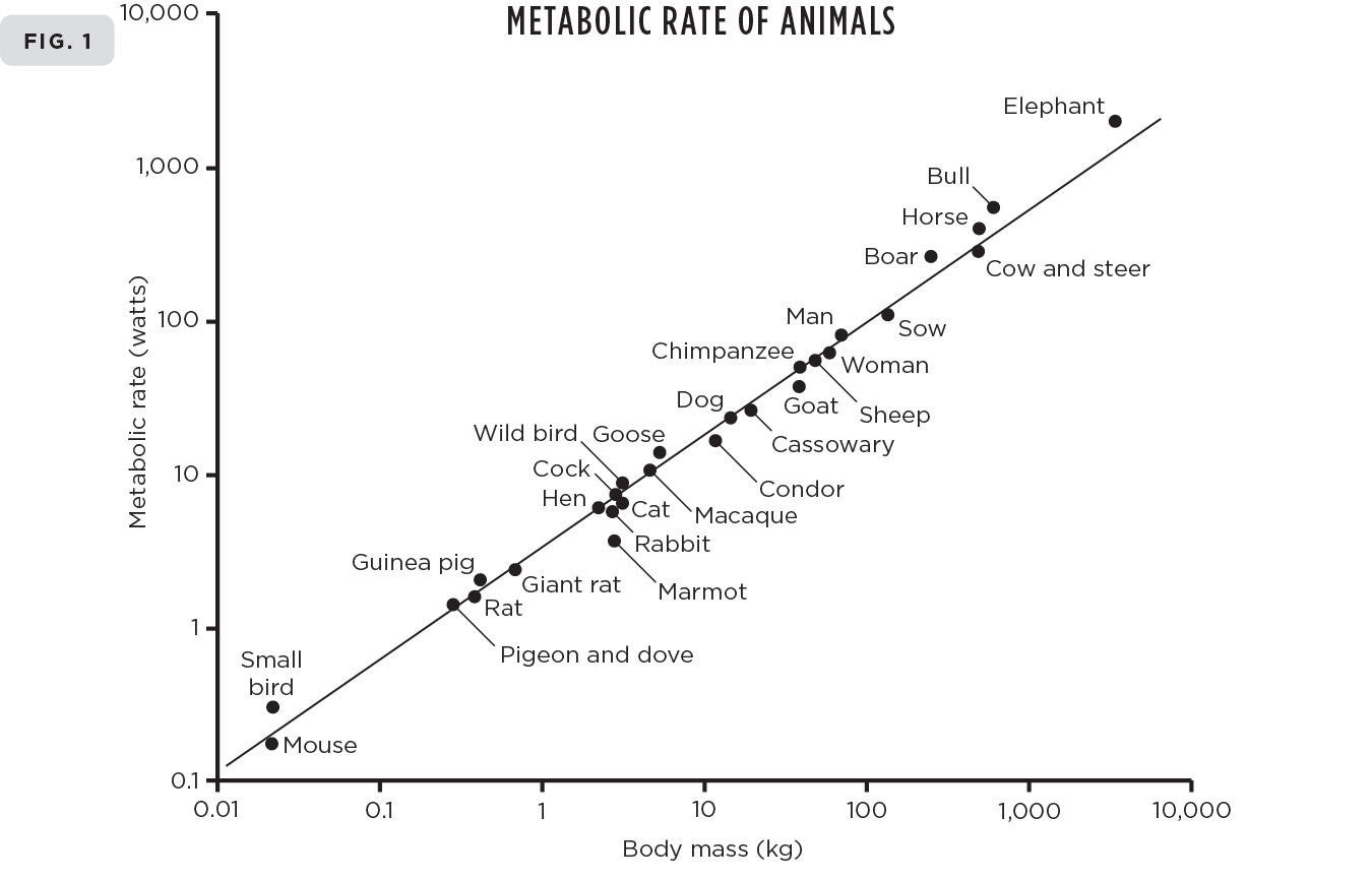 Examples of scaling curves which express how quantities scale with a change - photo 3