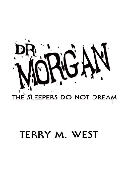 Copyright 2019 by Terry M West Published by Pleasant Storm Entertainment - photo 1