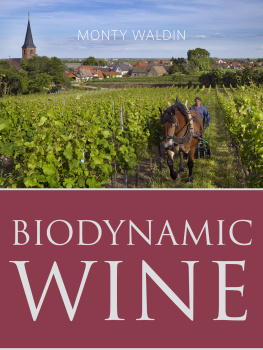 Waldin - Biodynamic Wine
