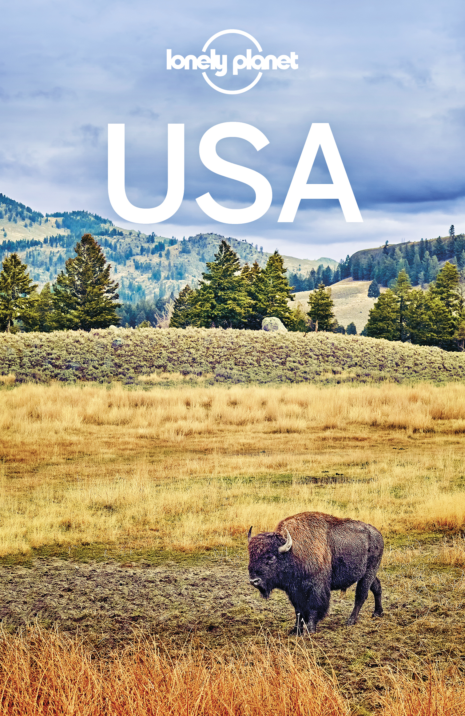 Lonely Planet USA - image 1