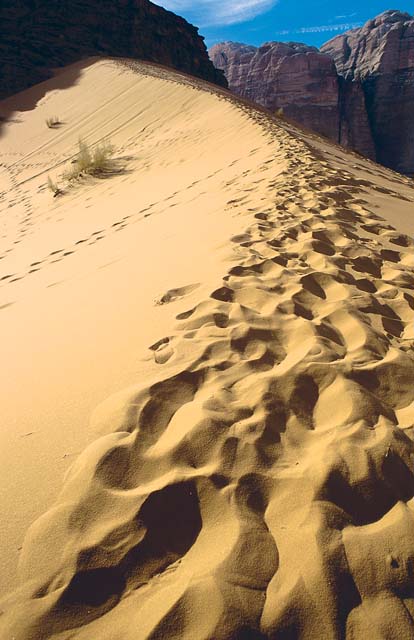 MARK DAFFEYLONELY PLANET IMAGES Red sand dunes against Jebel Umm Ulaydiyya - photo 8