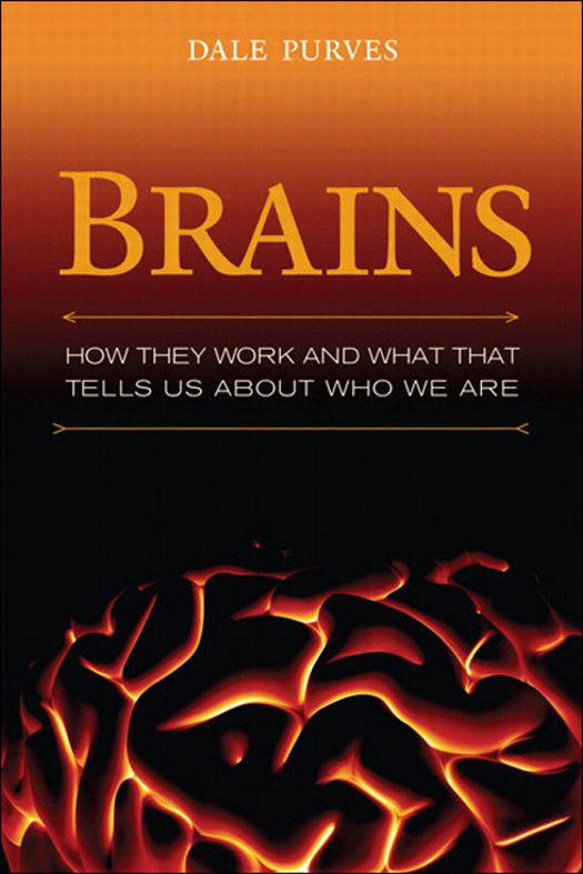 Brains How They Work and What that Tells Us About Who We Are Dale Purves - photo 1