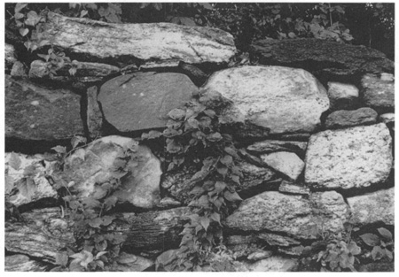 Variety in stone size shape and composition in a local mix eastern - photo 4