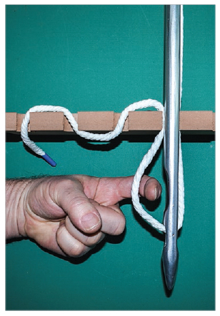 Hook grabbing top thread loop Sewing Systems and Hook Types The sewing system - photo 7