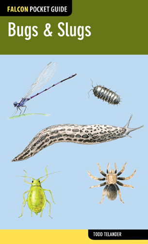 Bugs Slugs - image 1