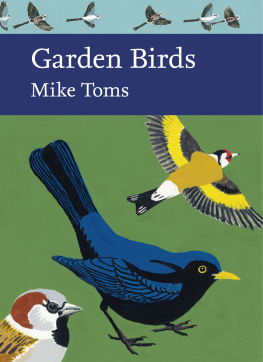 Toms - Garden Birds