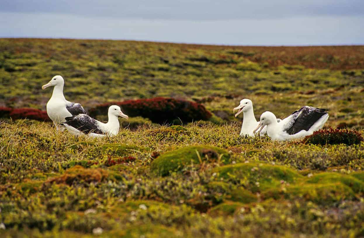 Top Attraction 10 Andy BelcherApa Publications Stewart Island A remote haven - photo 13