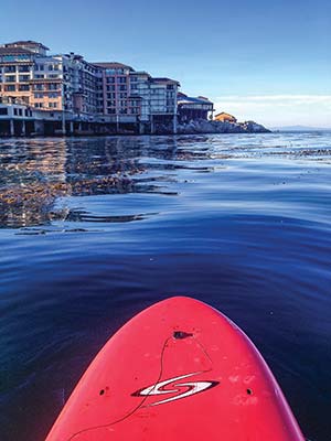 stand-up paddle boarding off Montereys Cannery Row Yosemite Wander amid - photo 10