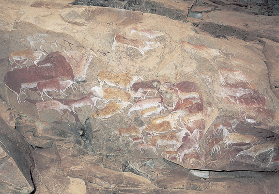 Pl 5 On a rock in the shelter shown in the San painted a multitude of eland - photo 5