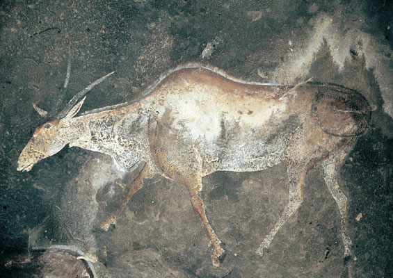 Pl 9 The eland was believed to have more supernatural potency than any other - photo 9