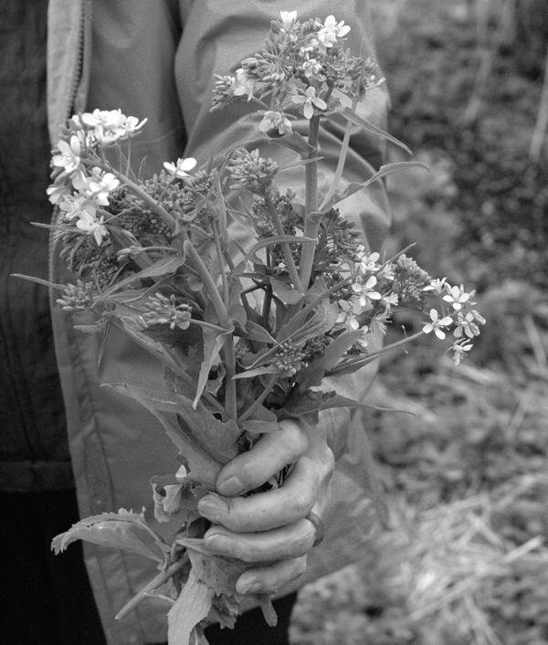 Introduction Growing our own food is a delightful productive pastime Working - photo 5