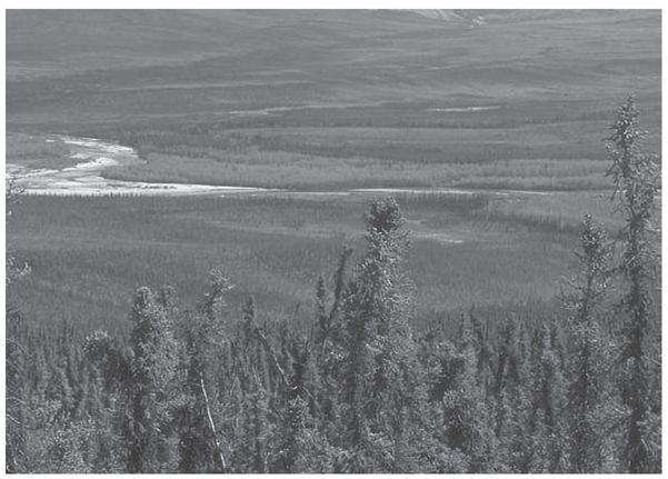 The Richardson Mountains where we hope to find a wolf den as viewed from Eagle - photo 6