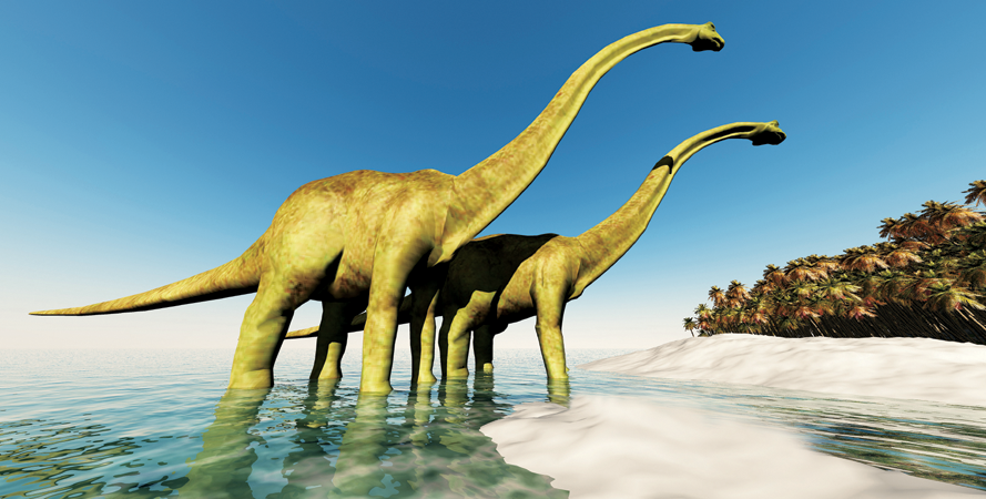 The first dinosaurs appeared on Earth about 230 million years ago Dinosaurs - photo 4