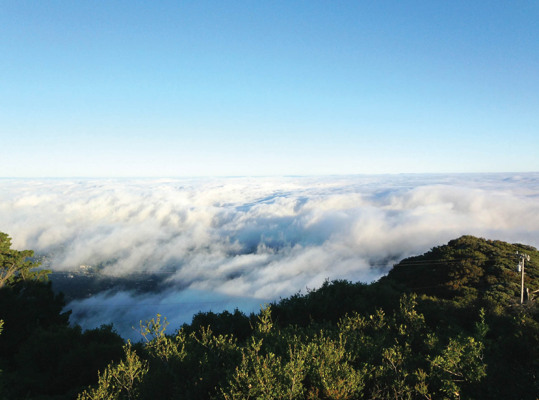 I highly recommend climbing Mount Tam Its one of the only times you can look - photo 16