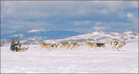 P HOTO BY K ENT AND D ONNA D ANNEN Dog sledding is a popular sport derived - photo 4