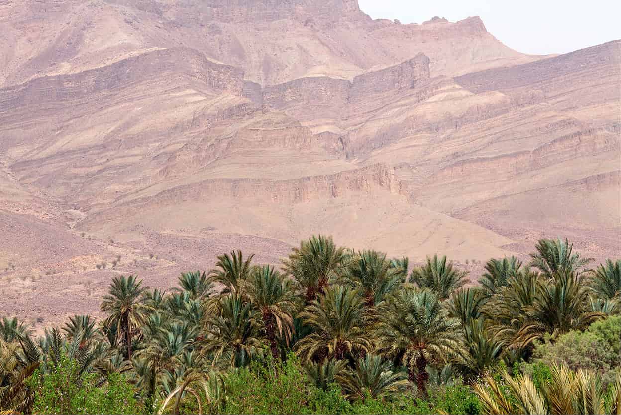 The Dads and Dra valleys These lush palm-filled kasbah-studded valleys - photo 8