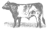 Storeys Guide to Raising Beef Cattle - image 3