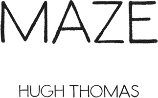 Maze - image 1