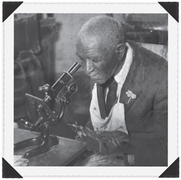 George Washington Carver Tuskegee University Archives Tuske - photo 5