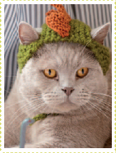 Cats in hats 30 knit and crochet patterns for your kitty - image 11