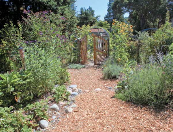 Bountiful plantings mulched pathways and insect-attracting perennials and - photo 3