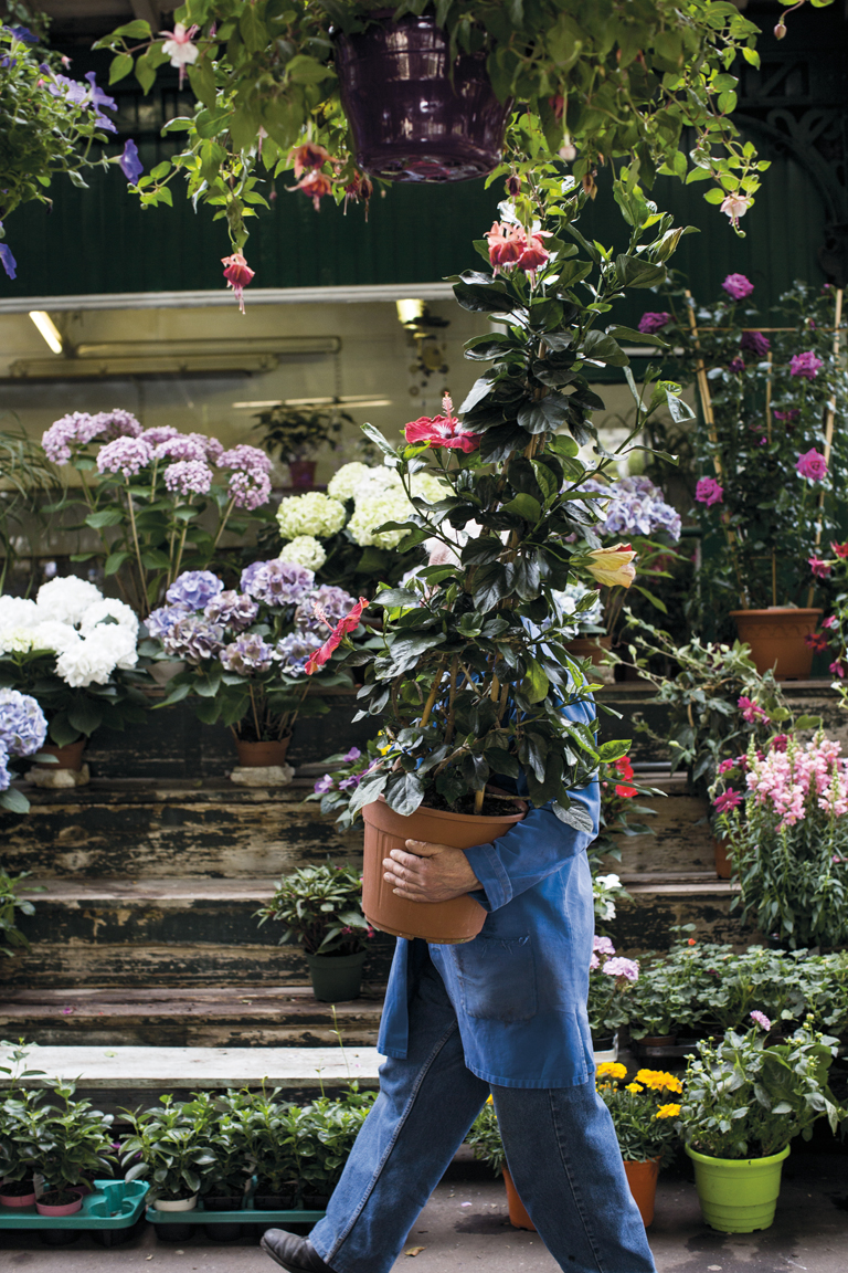 you name it this historic flower market just footsteps from Notre Dame - photo 13