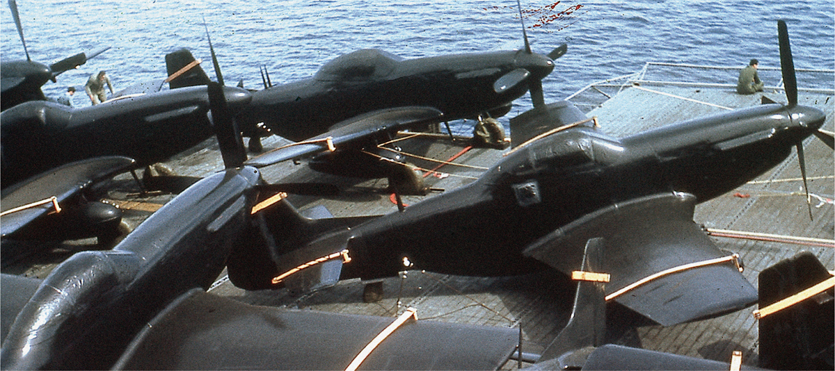 The Mustangs loaded onboard Boxer were cocooned in a protective coating to - photo 3