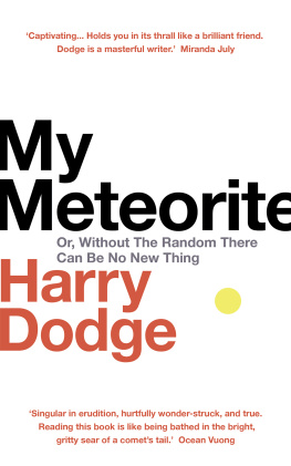 Harry Dodge - My Meteorite: Or, Without the Random There Can Be No New Thing