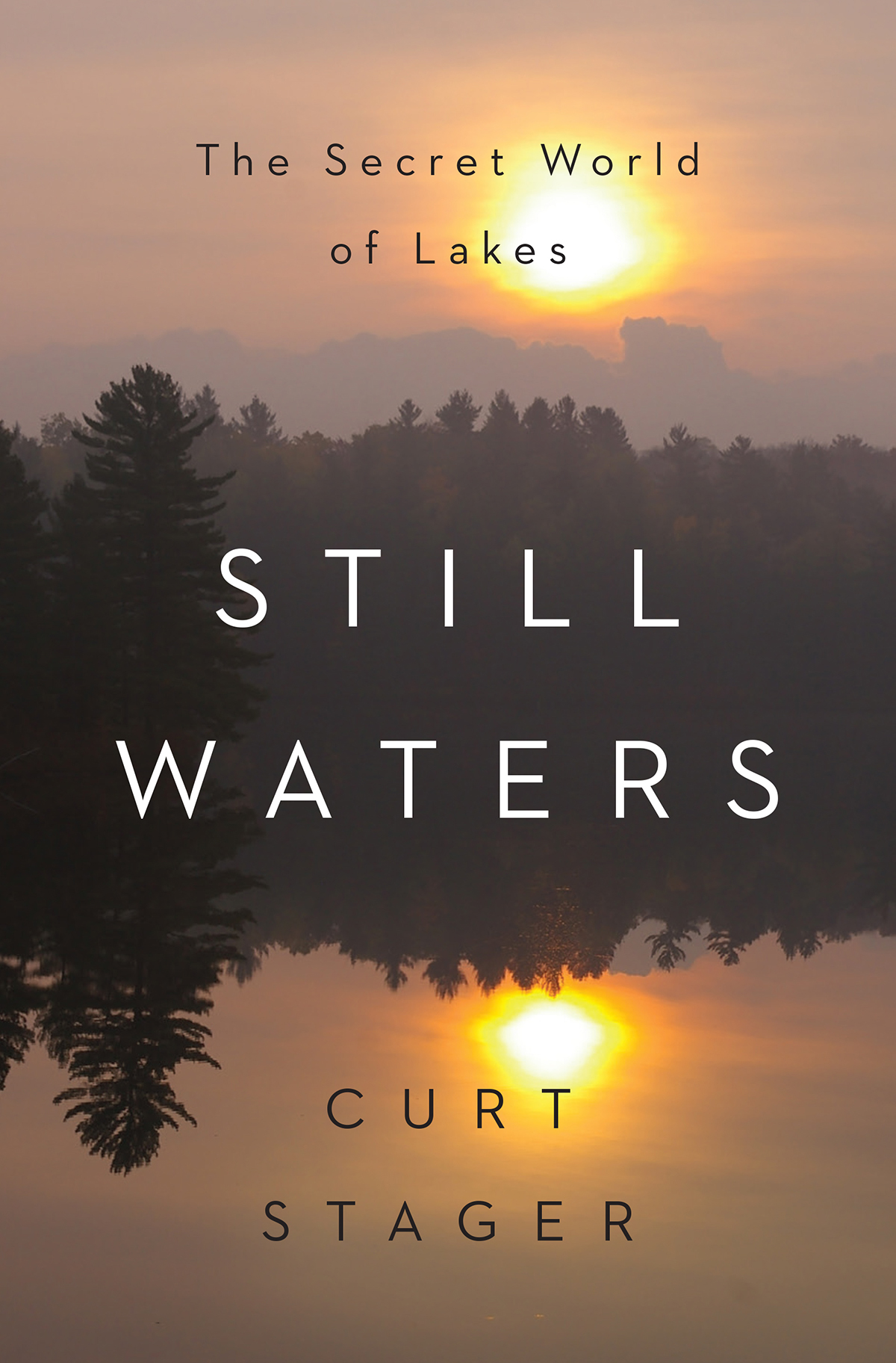 STILL WATERS ALSO BY CURT STAGER Your Atomic Self 2014 Deep Future - photo 1