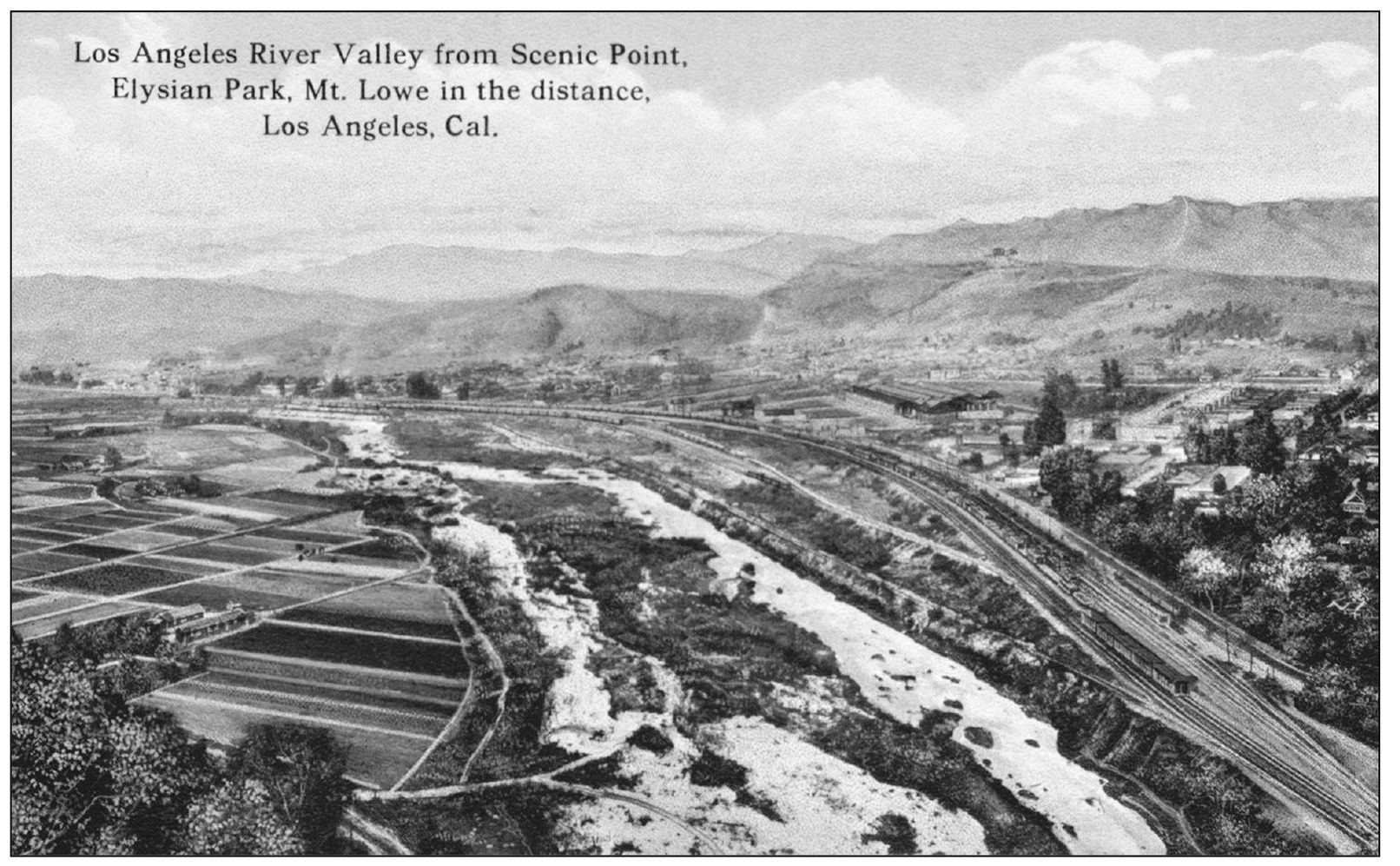 Facing north from Elysian Park this postcard depicts the vegetable fields - photo 6
