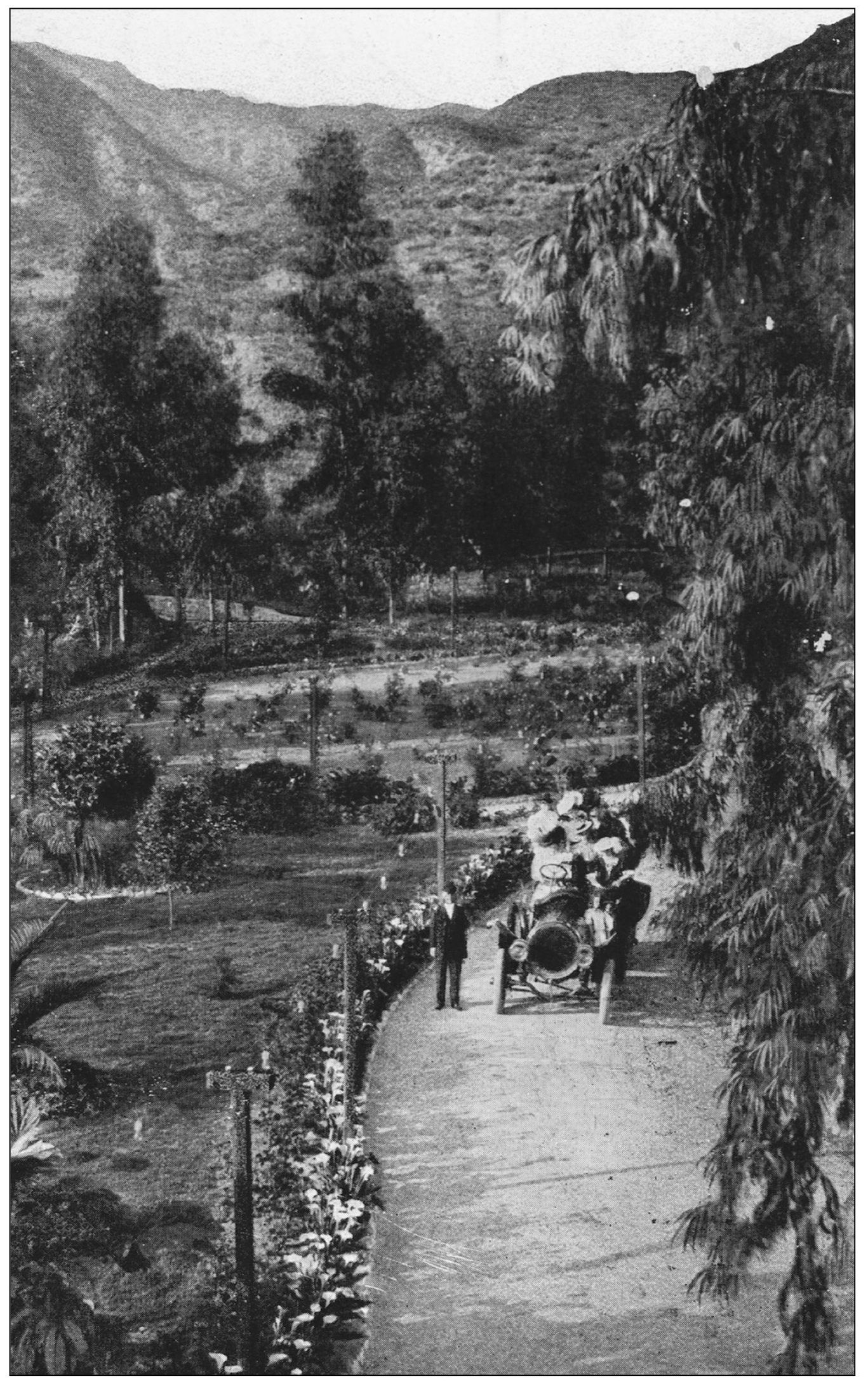 Postmarked in 1909 this postcard depicts a carload of tourists admiring the - photo 10