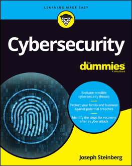 Steinberg - Cybersecurity For Dummies