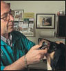 Discover how to select a qualified veterinarian and care for your dog at all - photo 9