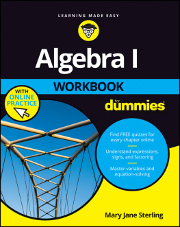 Sterling - Algebra I Workbook For Dummies