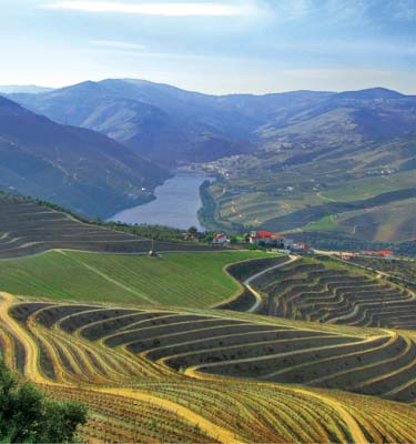 Terraced vineyards in the Douro Valley Fadosongs of sadness and hope - photo 9