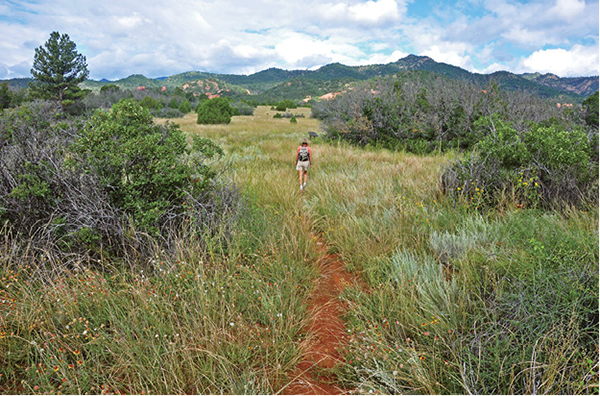 A hiker crosses a broad meadow on the Aiken Canyon Trail Hiking Pikes Peak - photo 5