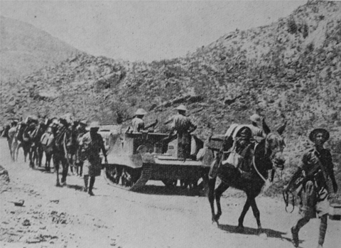 11 Pack mules and Bren carriers in a forward area in front of Keren 12 - photo 12